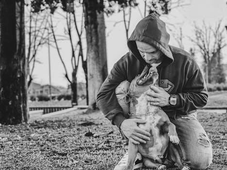 American Bully: The Ideal Family Pet for Love & Loyalty